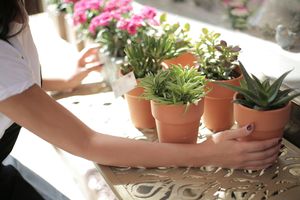 Adult Crafts: Decoup